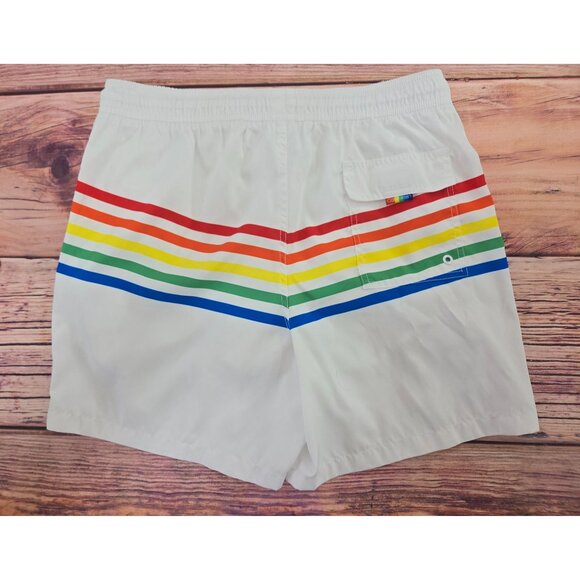 Calvin Klein Mens Rainbow Stripe Swim Shorts XL - Picture 2 of 7